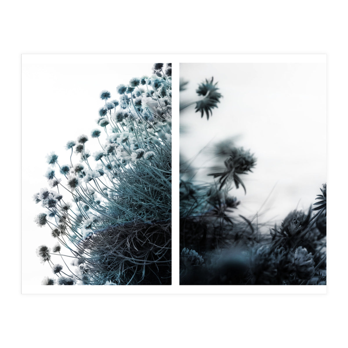 Andante (Print Only)