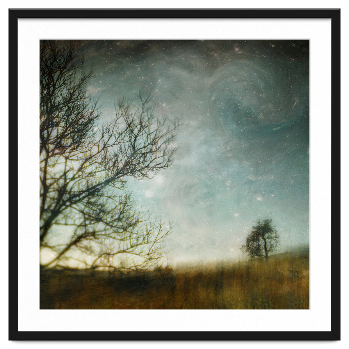 The Tree That Whispered