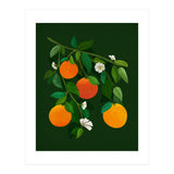 Oranges and Blossoms (Print Only) thumbnail