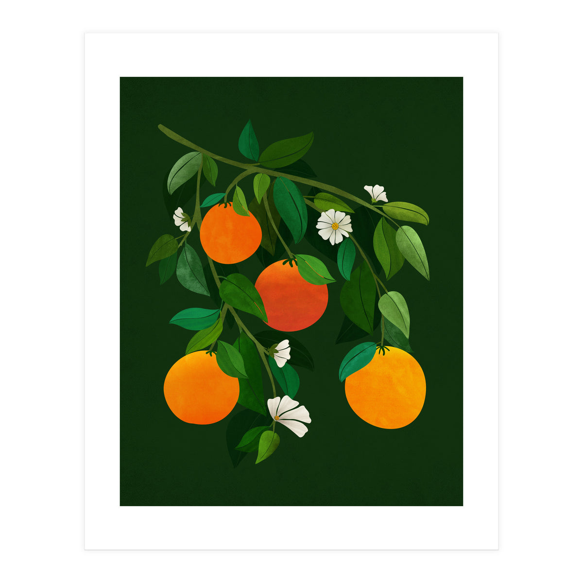Oranges and Blossoms (Print Only)