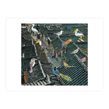 Bird Town (Print Only) thumbnail