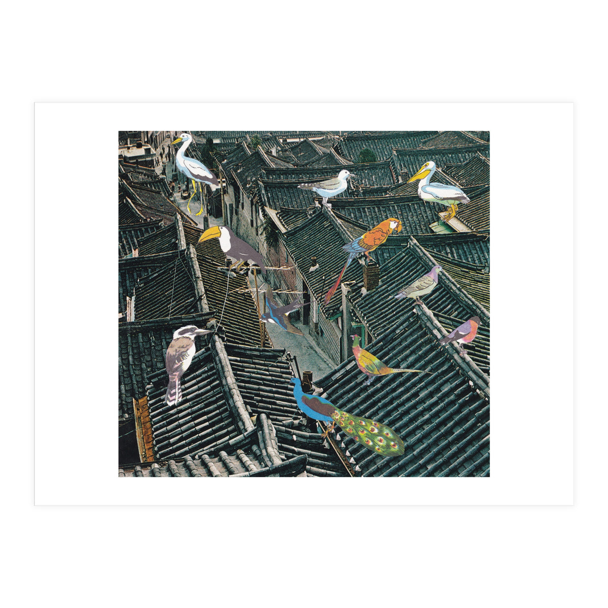 Bird Town (Print Only)