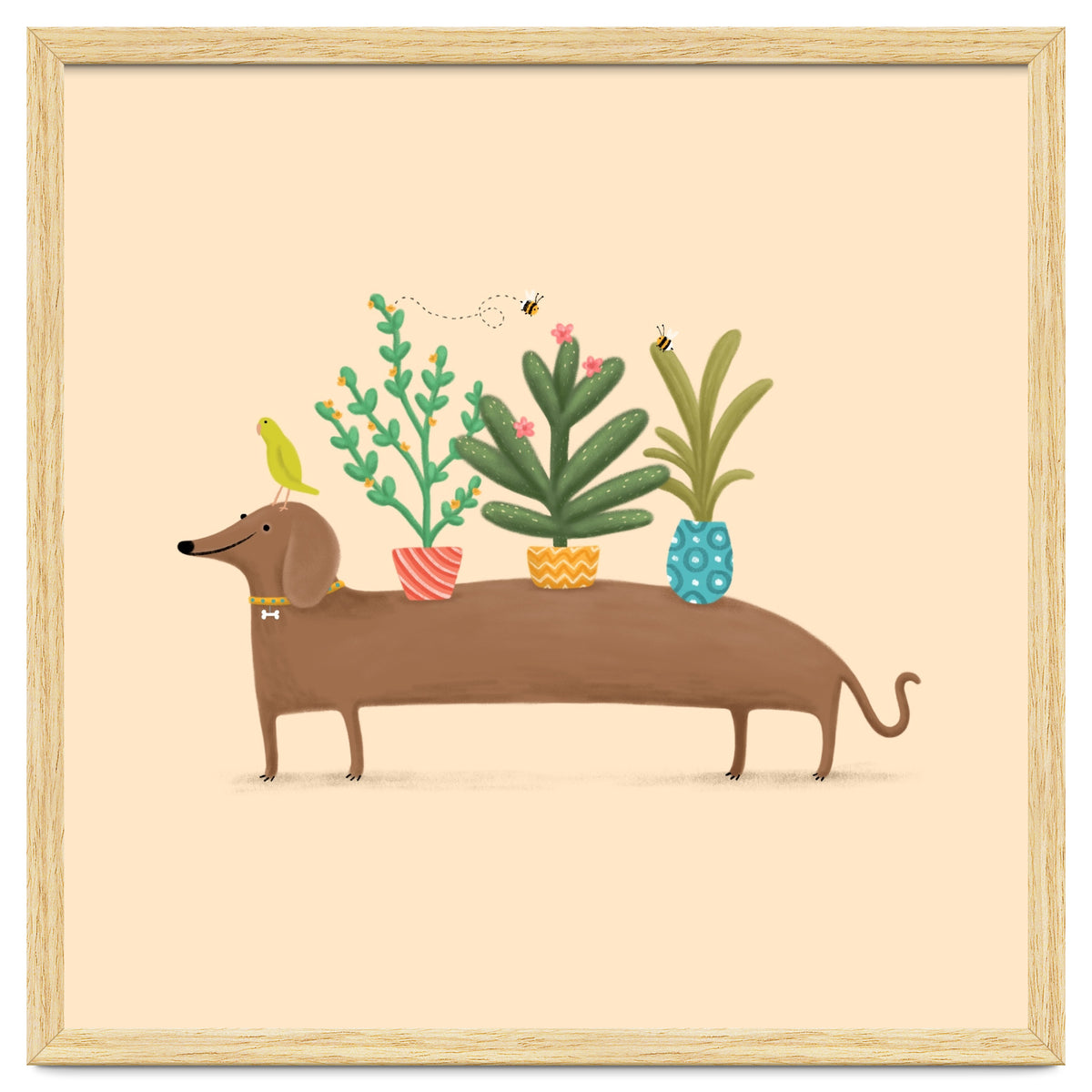 Dachshund And Parrot