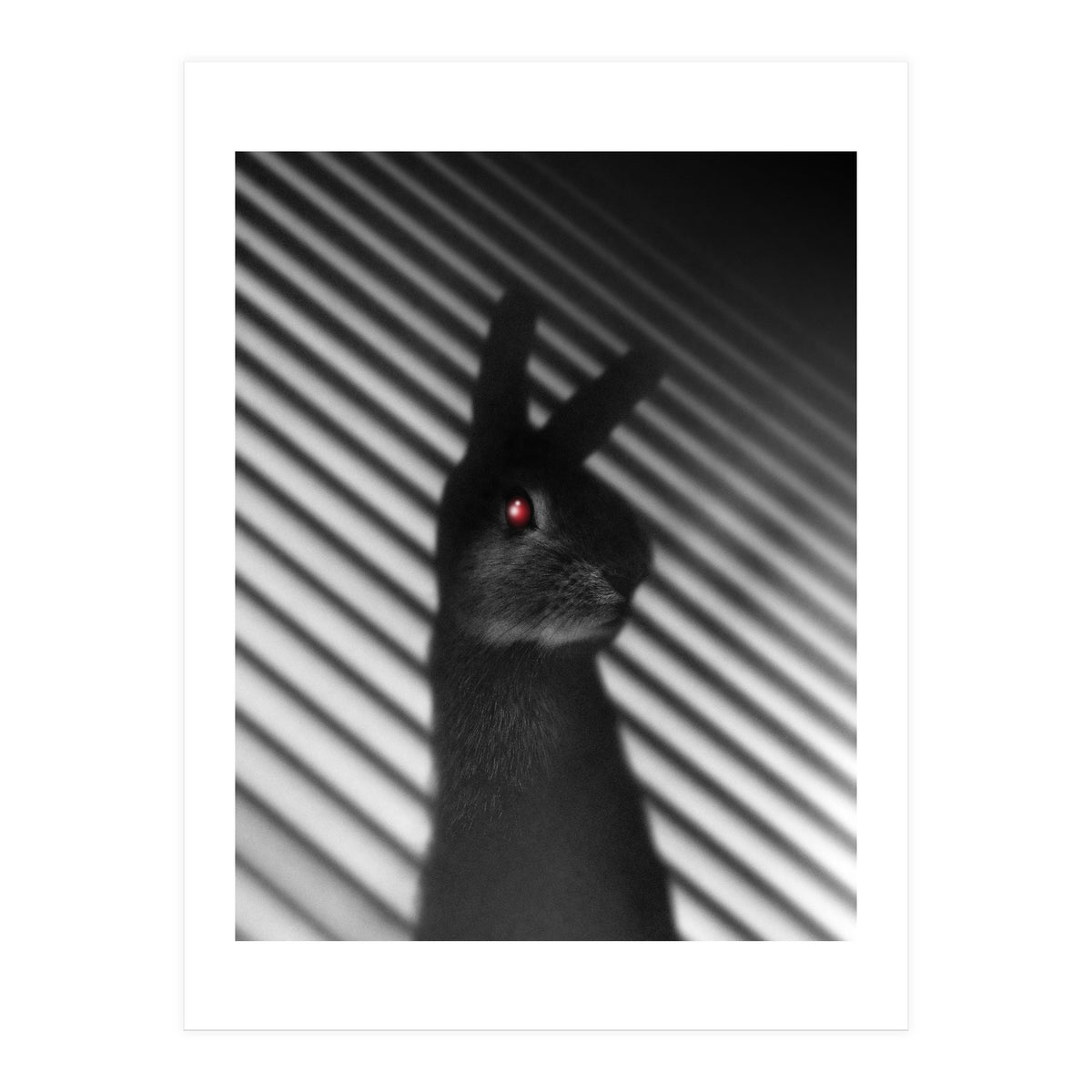 Shadow Bunny (Print Only)