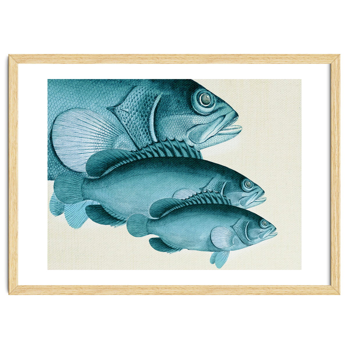 Fish Classic Designs 4