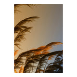 Sunset in autumn (Print Only) thumbnail