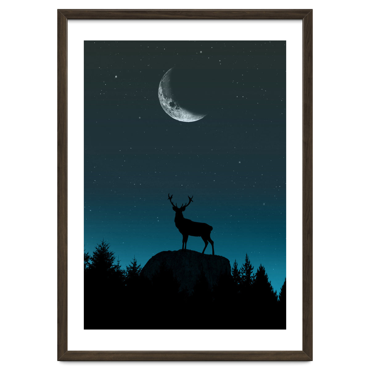 Wild Nature - Nocturne