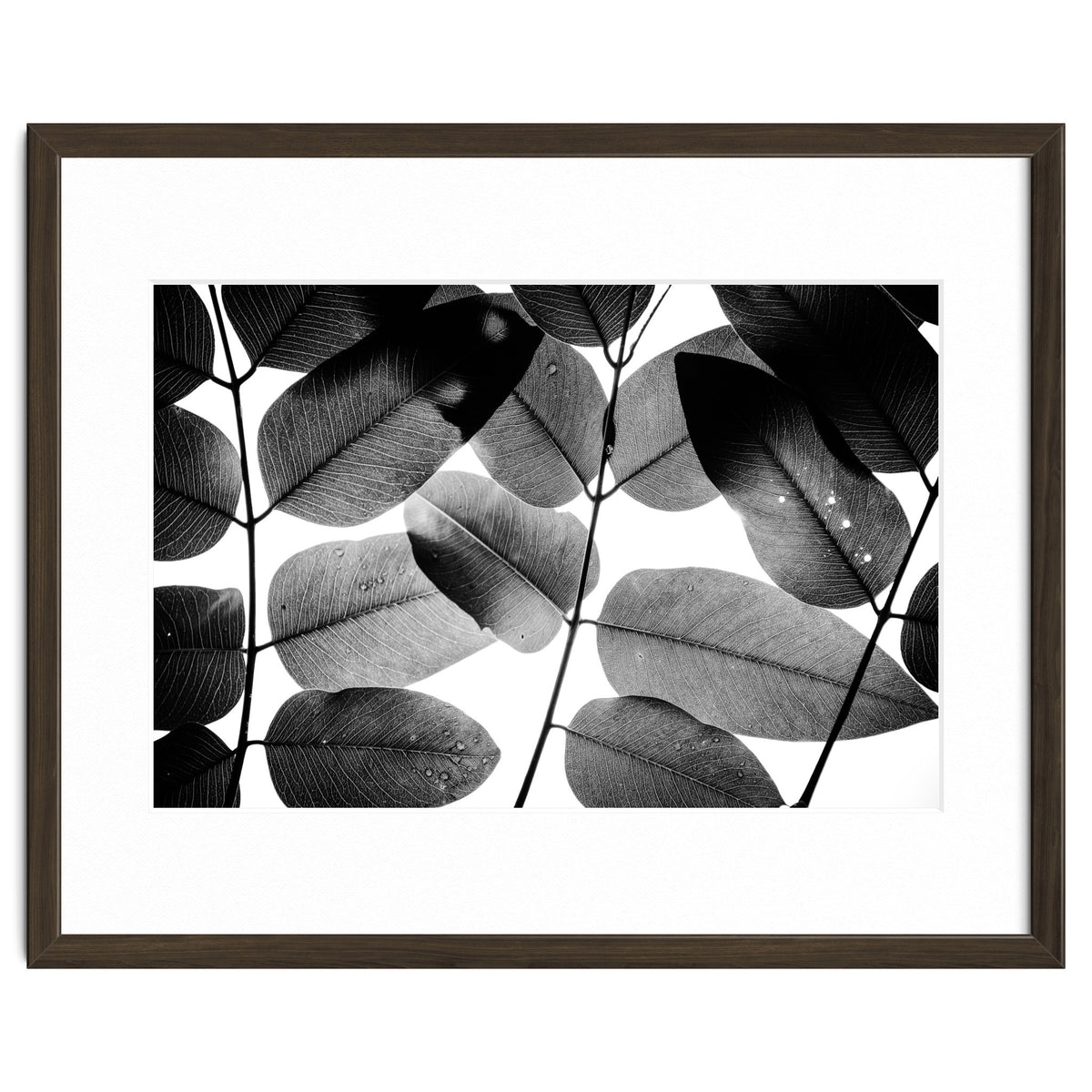 Experiments with Leaves II