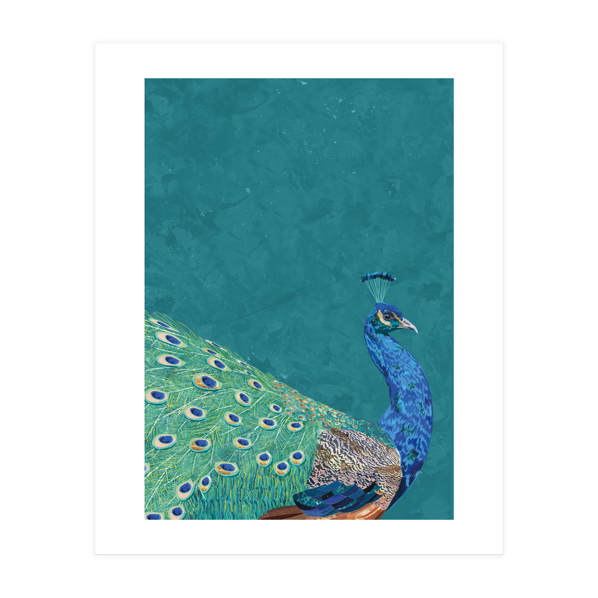Perfect Peacock Turquoise Portrait (Print Only)