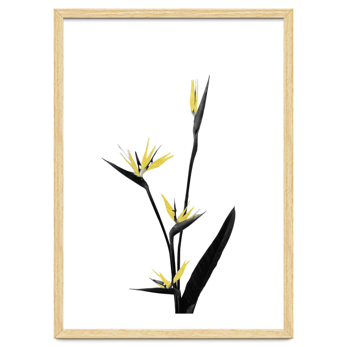 Flower Minimal Black And Gold 05