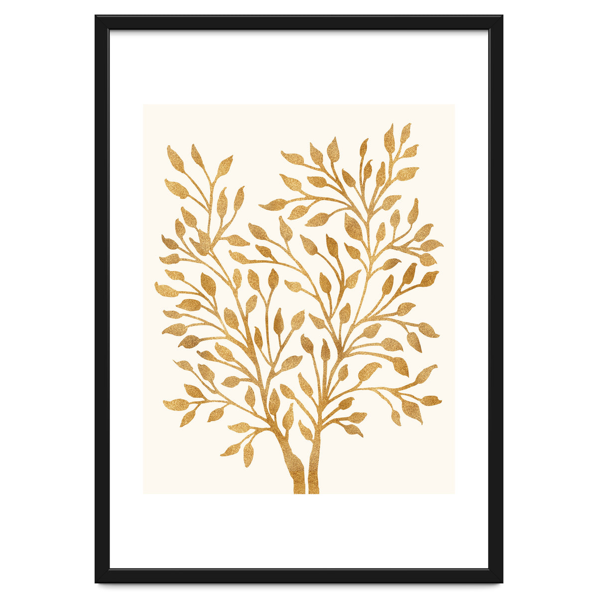 Golden Ficus 4x5