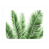 Palm Leaves (Print Only) thumbnail