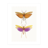 Cc Insects 01 (Print Only) thumbnail