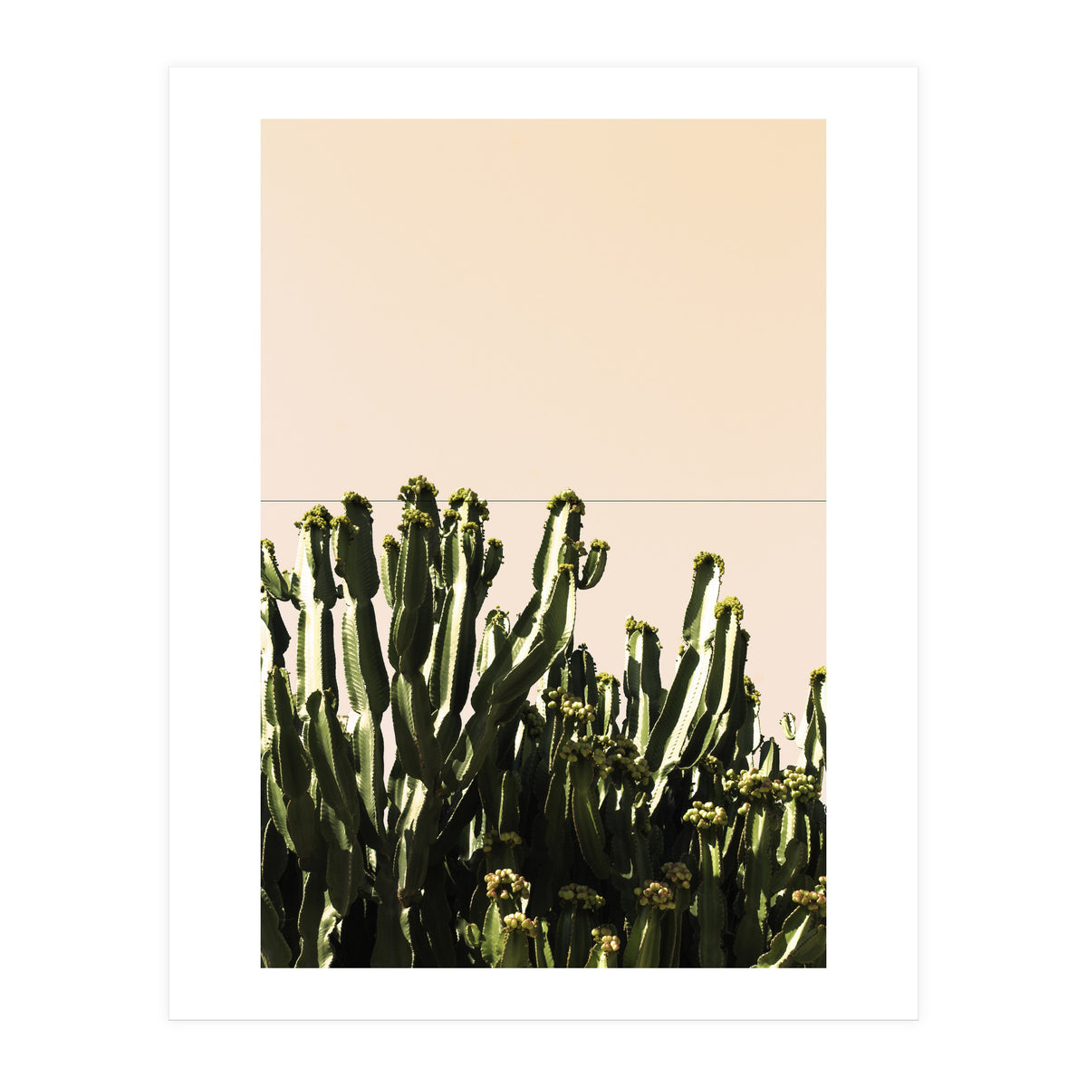Cactus Vertical Color (Print Only)