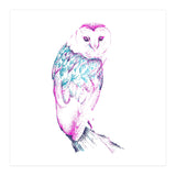 Barn Owl Pinquoise (Print Only) thumbnail