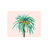 Coconut Island (Print Only) thumbnail