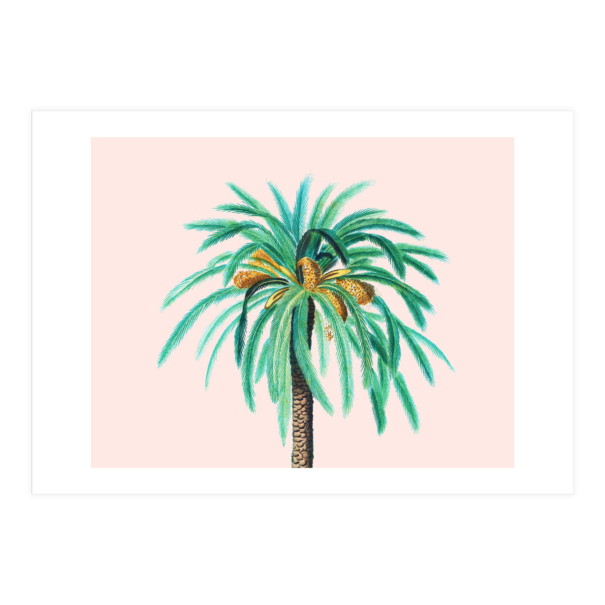 Coconut Island (Print Only)