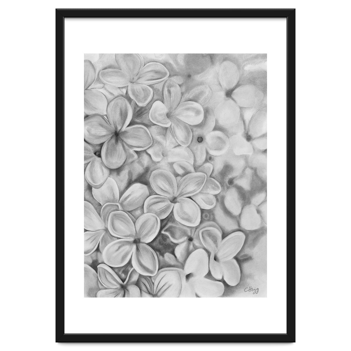 The Essence Of Spring in Monochrome