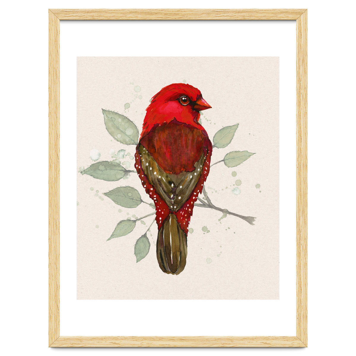 Red avadavat watercolor