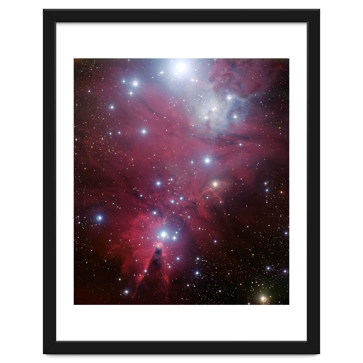 The Christmas Tree Cluster