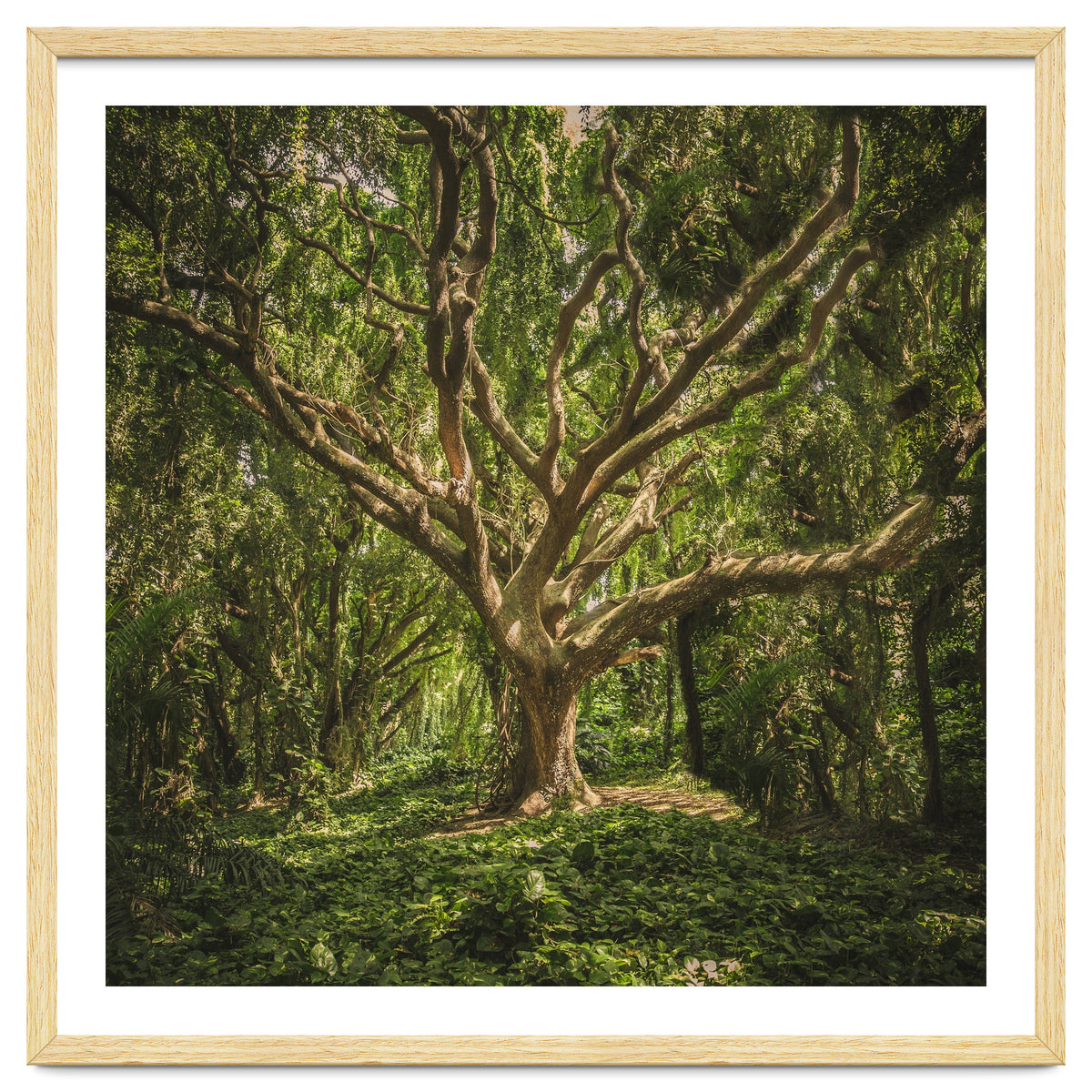 Spirits inside the wood