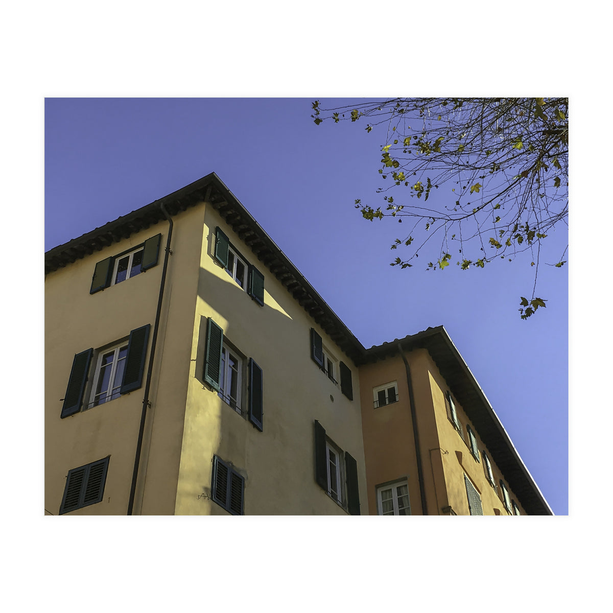 Windows From Tuscany 2 (Print Only)