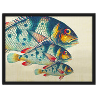 Fish Classic Designs 3