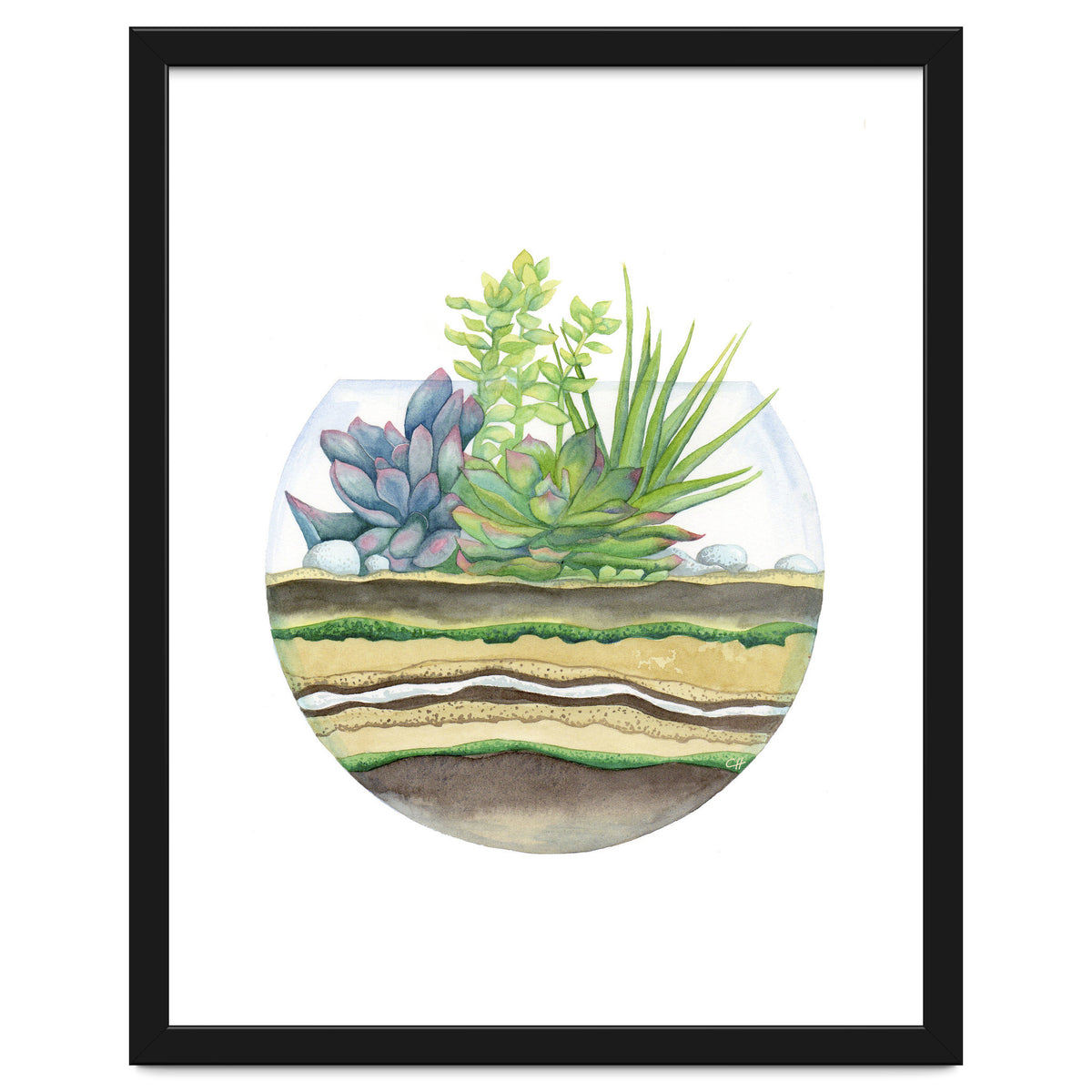 A Little Green Terrarium