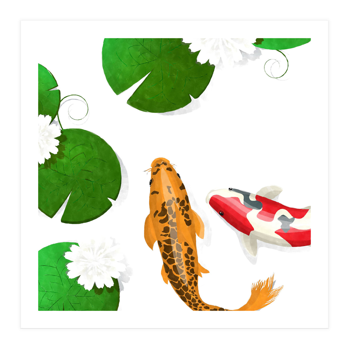 Koi fish background (Print Only)