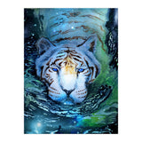 Galaxy Swim (Print Only) thumbnail