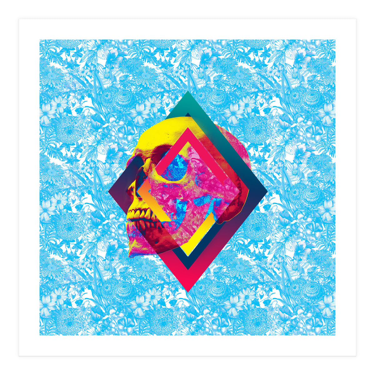 Lifeful Skull  (Print Only)