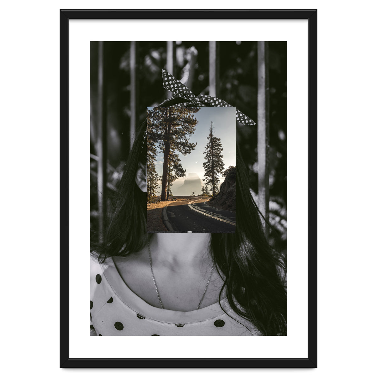 Silva Where Are You?