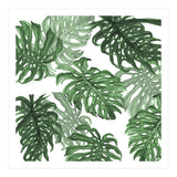 Monstera Deliciosa (Print Only) thumbnail