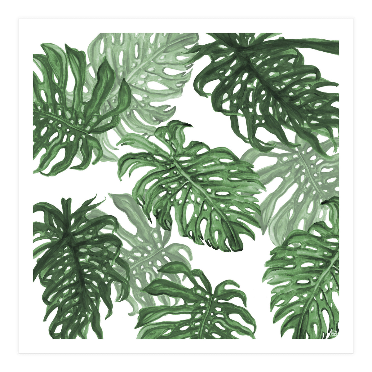Monstera Deliciosa (Print Only)