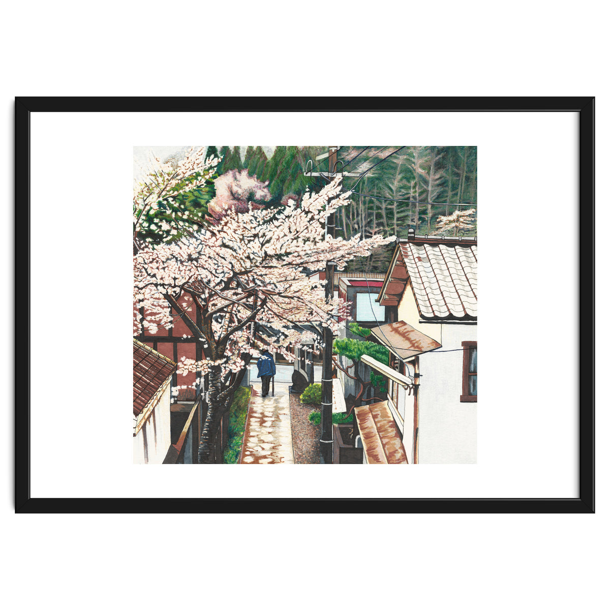 Passing by Cherry Blossoms