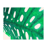 Foliage V2 (Print Only) thumbnail