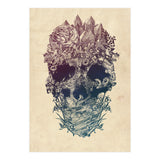 Skull Floral  (Print Only) thumbnail