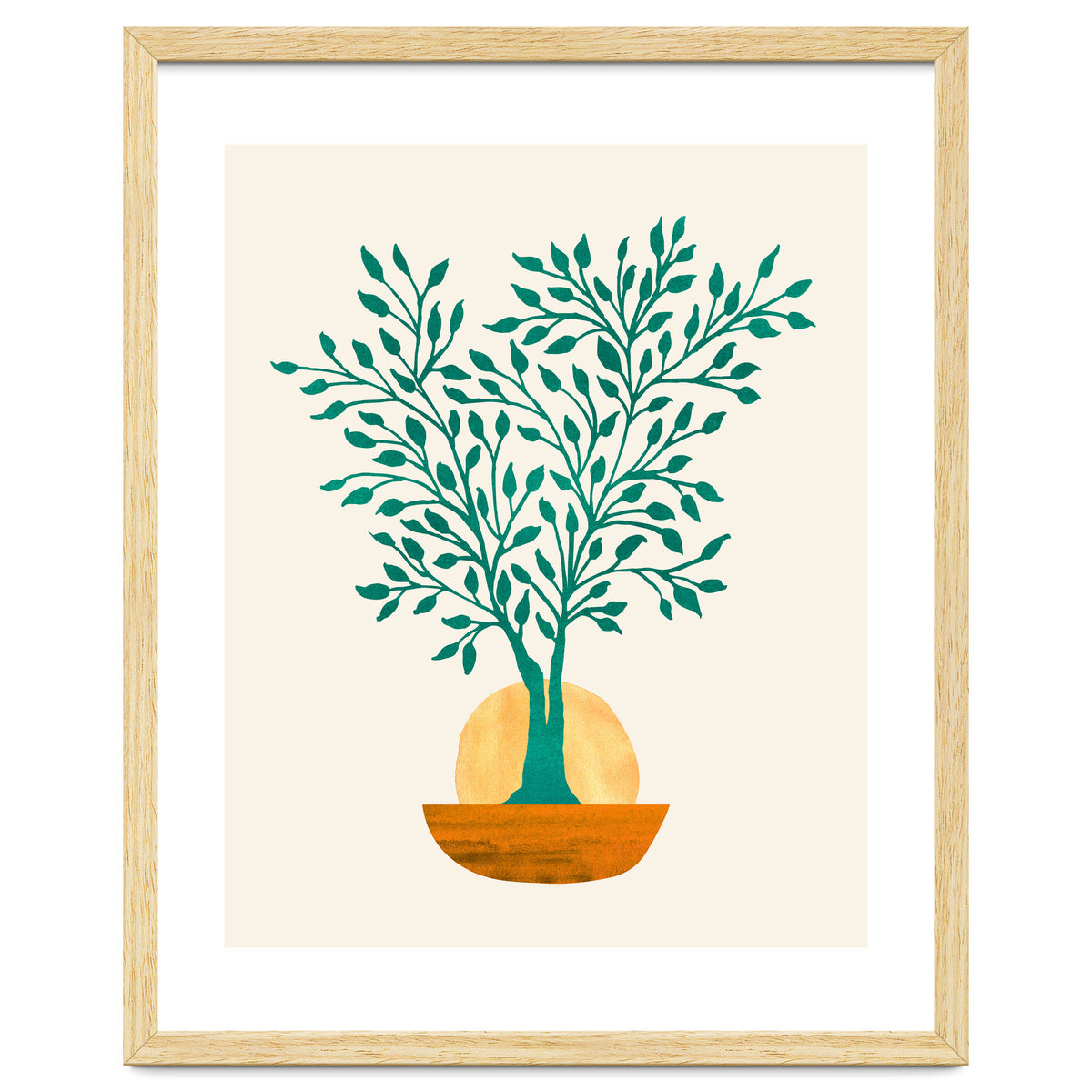 Emerald Ficus Sunset