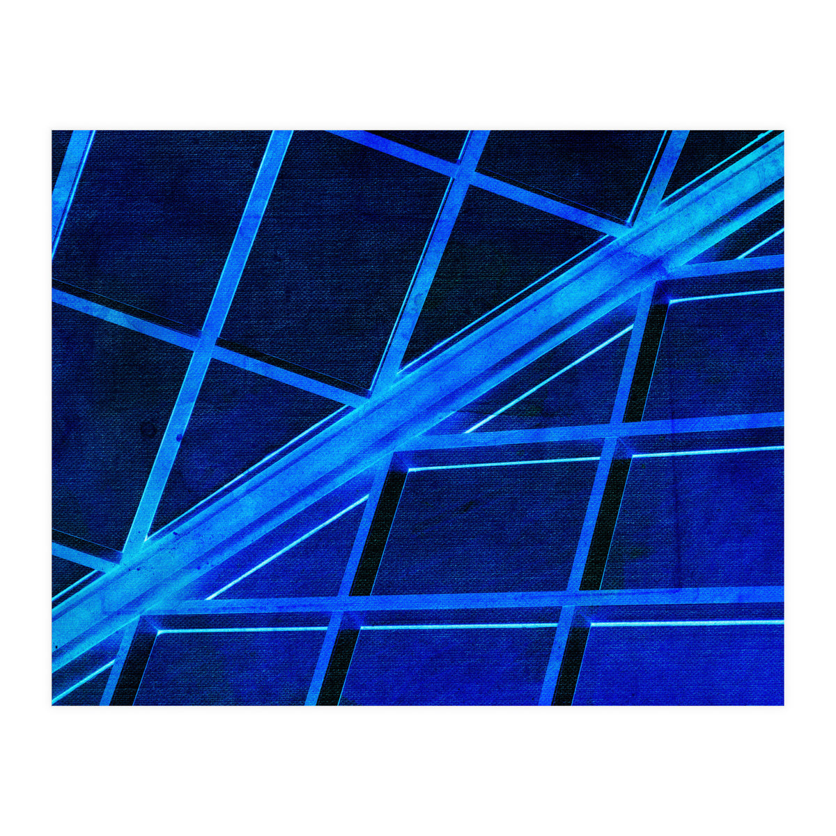 WTnight  (Print Only)