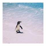 Beach (Print Only) thumbnail