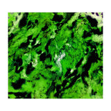 More Distinguishing Marks (Print Only) thumbnail