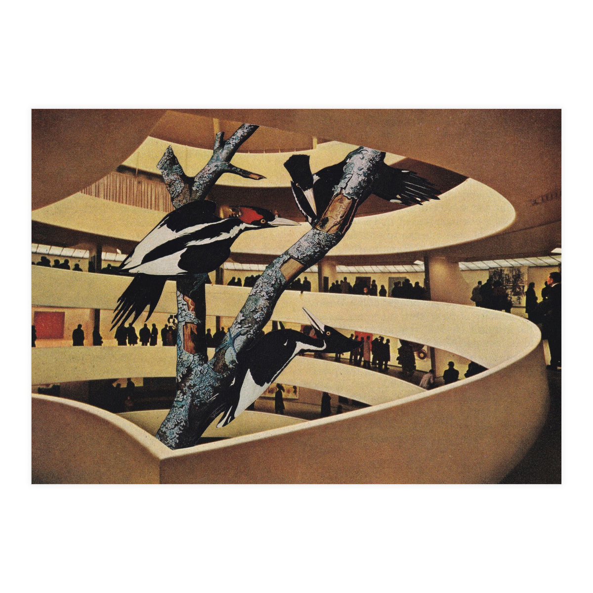 Art Museum (Print Only)