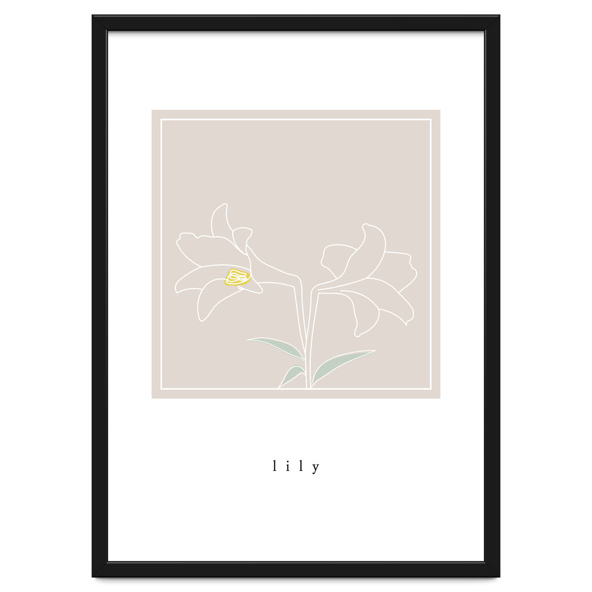 lily flower