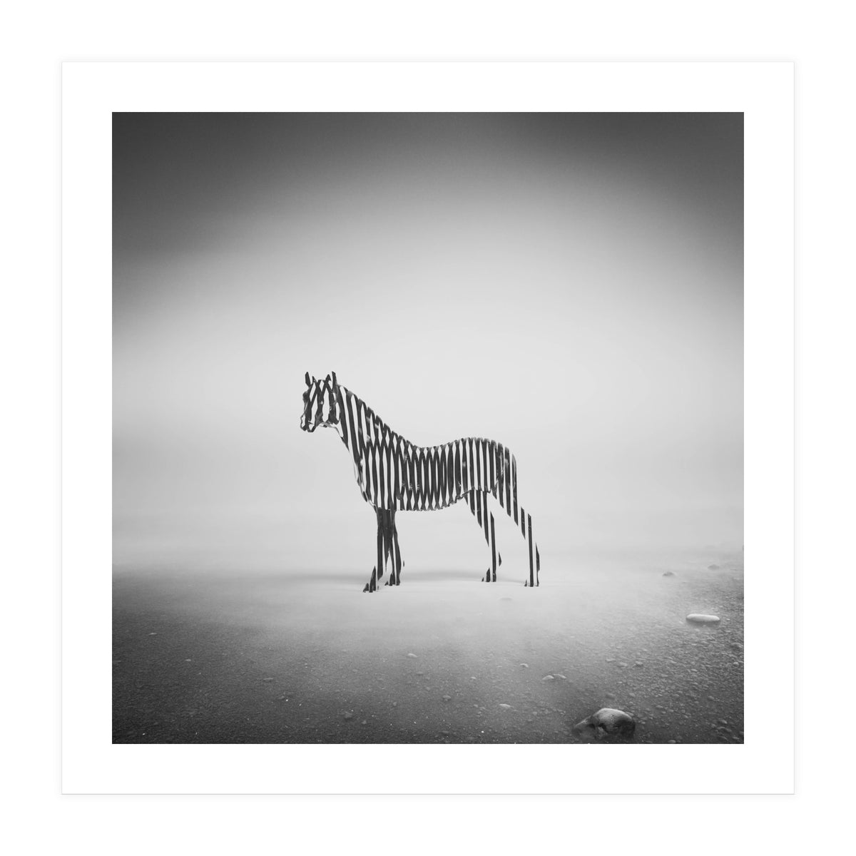 Zebra Mist (Print Only)