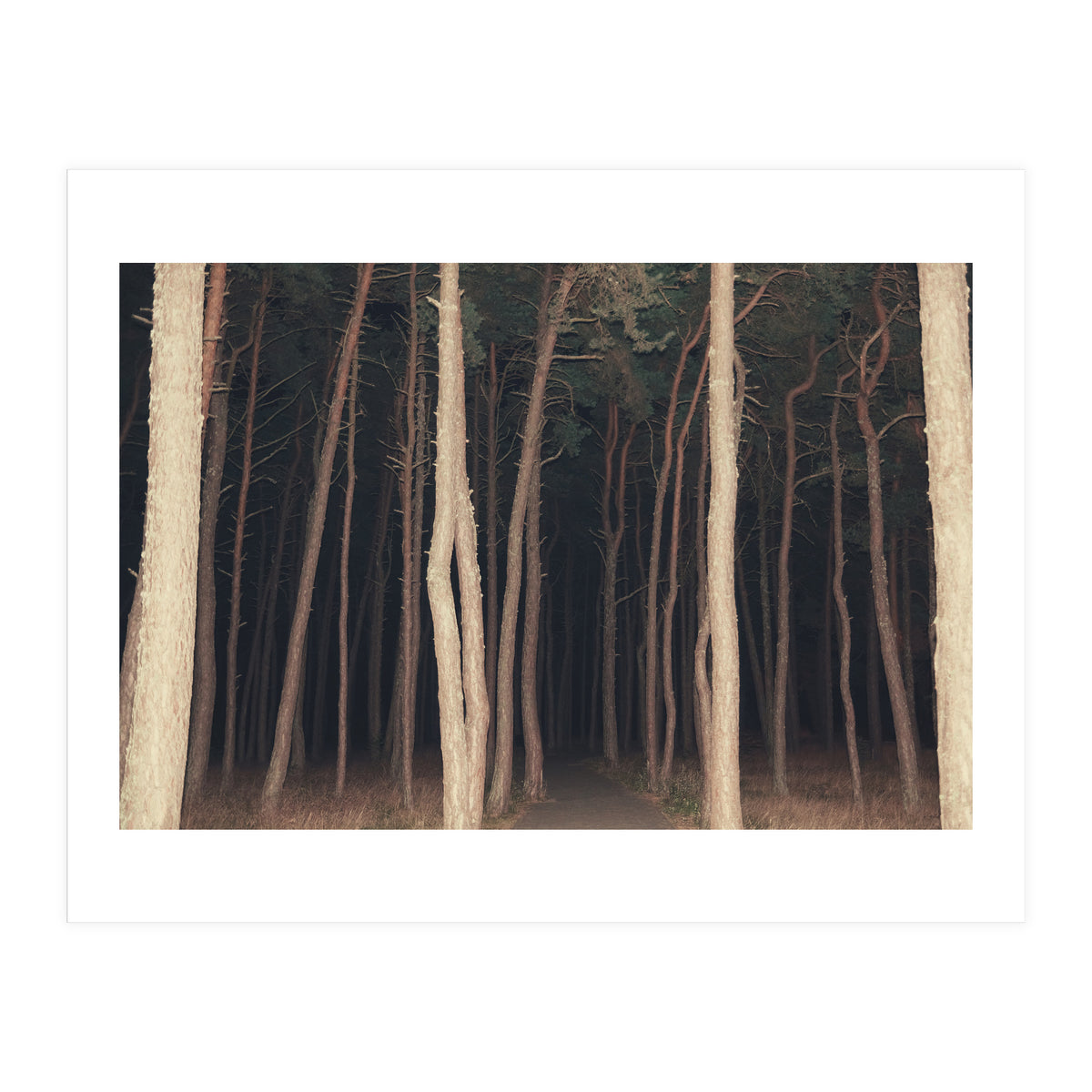 The Slender Man (Print Only)