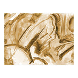 Terra Bela (Print Only) thumbnail