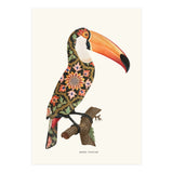 Boho Toucan (Print Only) thumbnail