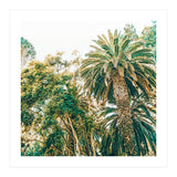 Newport (Print Only) thumbnail