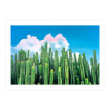 Cactus Summer (Print Only) thumbnail