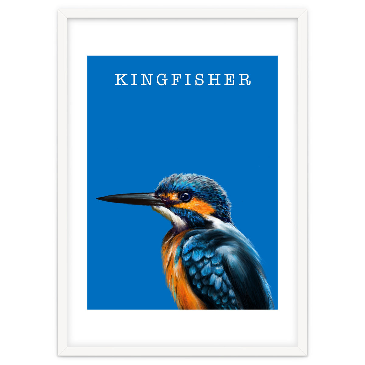 Kingfisher
